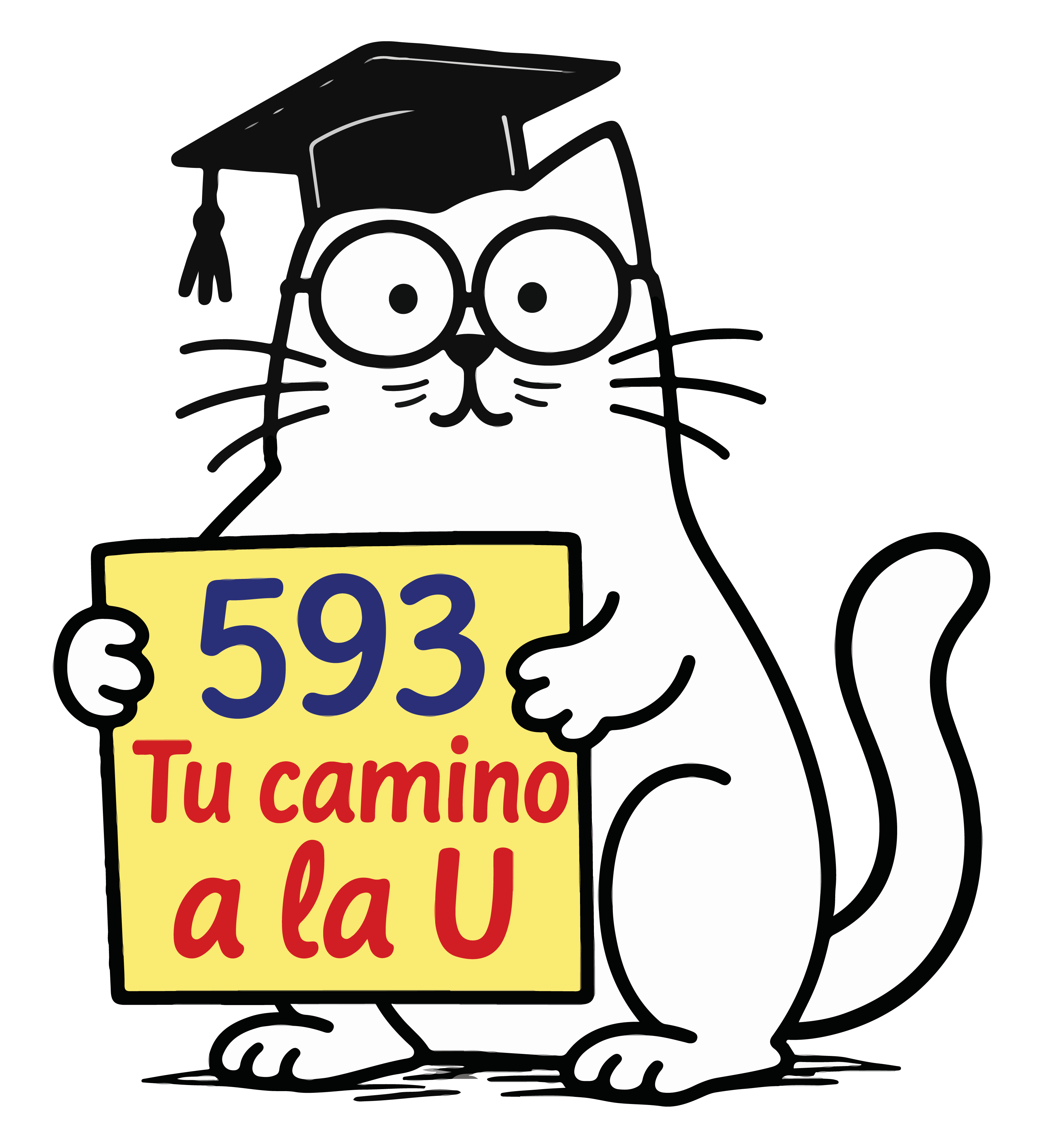Logo 593 TucaminoalaU
